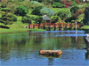 Durban - Japanese Gardens
